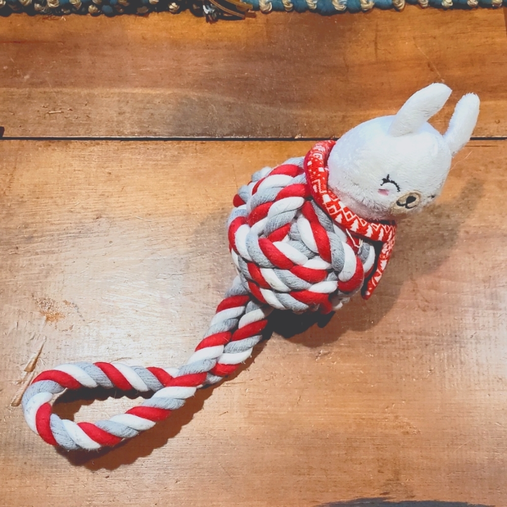 Rope Dog Toy